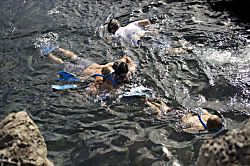 Napili Shores Unit A-201