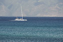 Napili Shores Unit A-201