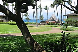 Napili Shores Unit A-201