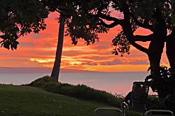 Napili Shores Unit A-201