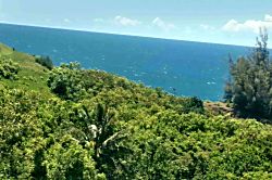 Sealodge 1 unit B-12