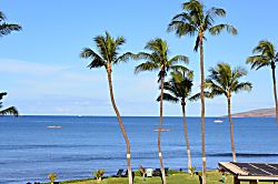 Sugar Beach Resort 310