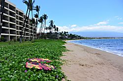 Sugar Beach Resort 310