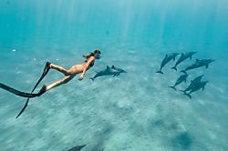 Makaha Valley Towers Condo