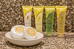 Tradewinds Plaza Studio 304