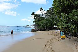 Tradewinds Plaza Studio 304