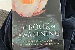 Kapalua Ridge Villas 2921-22