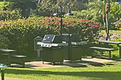 The Palms at Wailea 1301