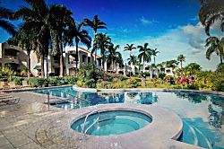 The Palms at Wailea 1301
