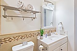 Today...Tonight...Turtles...Turtles...Turtles!
