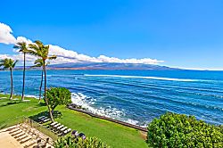 Today...Tonight...Turtles...Turtles...Turtles!
