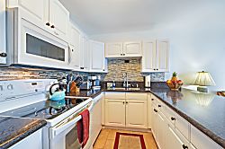 Today...Tonight...Turtles...Turtles...Turtles!
