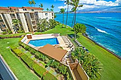 Today...Tonight...Turtles...Turtles...Turtles!
