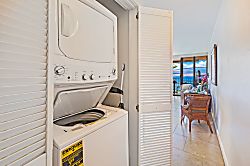 Today...Tonight...Turtles...Turtles...Turtles!
