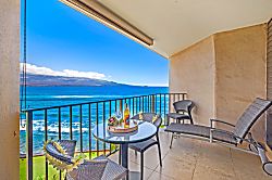 Today...Tonight...Turtles...Turtles...Turtles!
