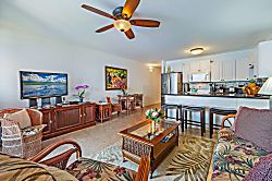 Today...Tonight...Turtles...Turtles...Turtles!
