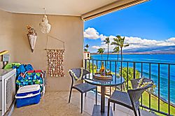 Today...Tonight...Turtles...Turtles...Turtles!
