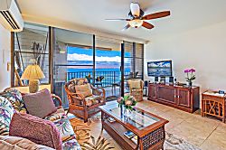 Today...Tonight...Turtles...Turtles...Turtles!
