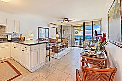 Today...Tonight...Turtles...Turtles...Turtles!
