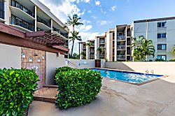 Today...Tonight...Turtles...Turtles...Turtles!
