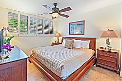 Today...Tonight...Turtles...Turtles...Turtles!
