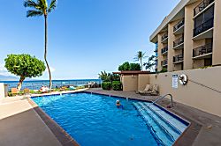 Today...Tonight...Turtles...Turtles...Turtles!
