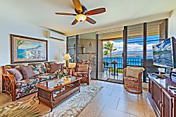 Today...Tonight...Turtles...Turtles...Turtles!
