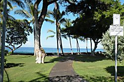 Kona Magic Sands 307