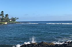 Kuhio Shores 105