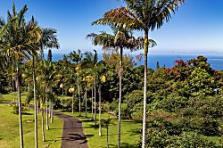 Pu'u Mahana Plantation