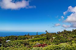 Pu'u Mahana Plantation