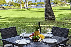 Mauna Lani Terrace J101