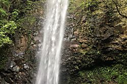 Kapaa vacation rental