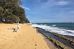 Coconut Coast Ocean View Condo
