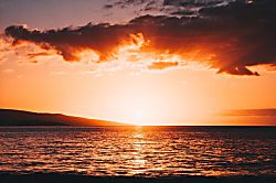 Palm Cottage at Tranquil Palms