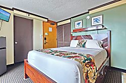 Bamboo Suite1001