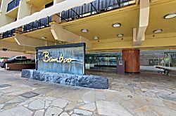 Bamboo Suite1001