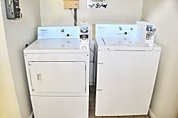 Palm Hale-Princess Palm Studio