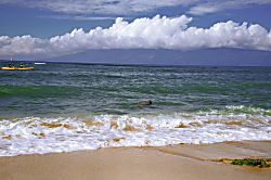 Royal Kahana 119 - swim and snorkel steps away from your unit