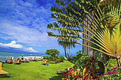 Royal Kahana 119 - lawn area