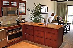 Waipouli Beach Resort E-206