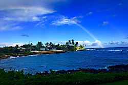 Kuhio Shores 104