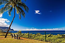 The Plantation at Princeville