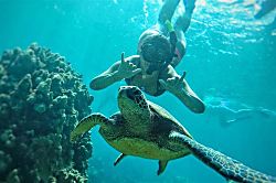 The Plantation at Princeville