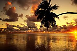 The Plantation at Princeville