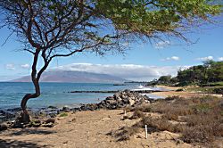 Kihei Kai Nani Unit 252