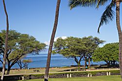 Kamaole Sands 10-207 & 3-101