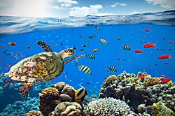 Kamaole Sands Building #3, Unit 405