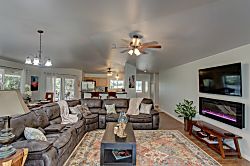 Ferns & Frogs Forest Hale