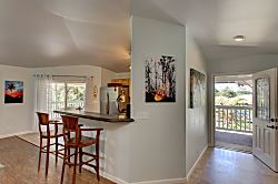 Ferns & Frogs Forest Hale